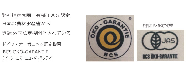 BCS・JASマーク.jpg
