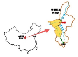 紅枸杞（デザイン写真、色々） (2).jpg